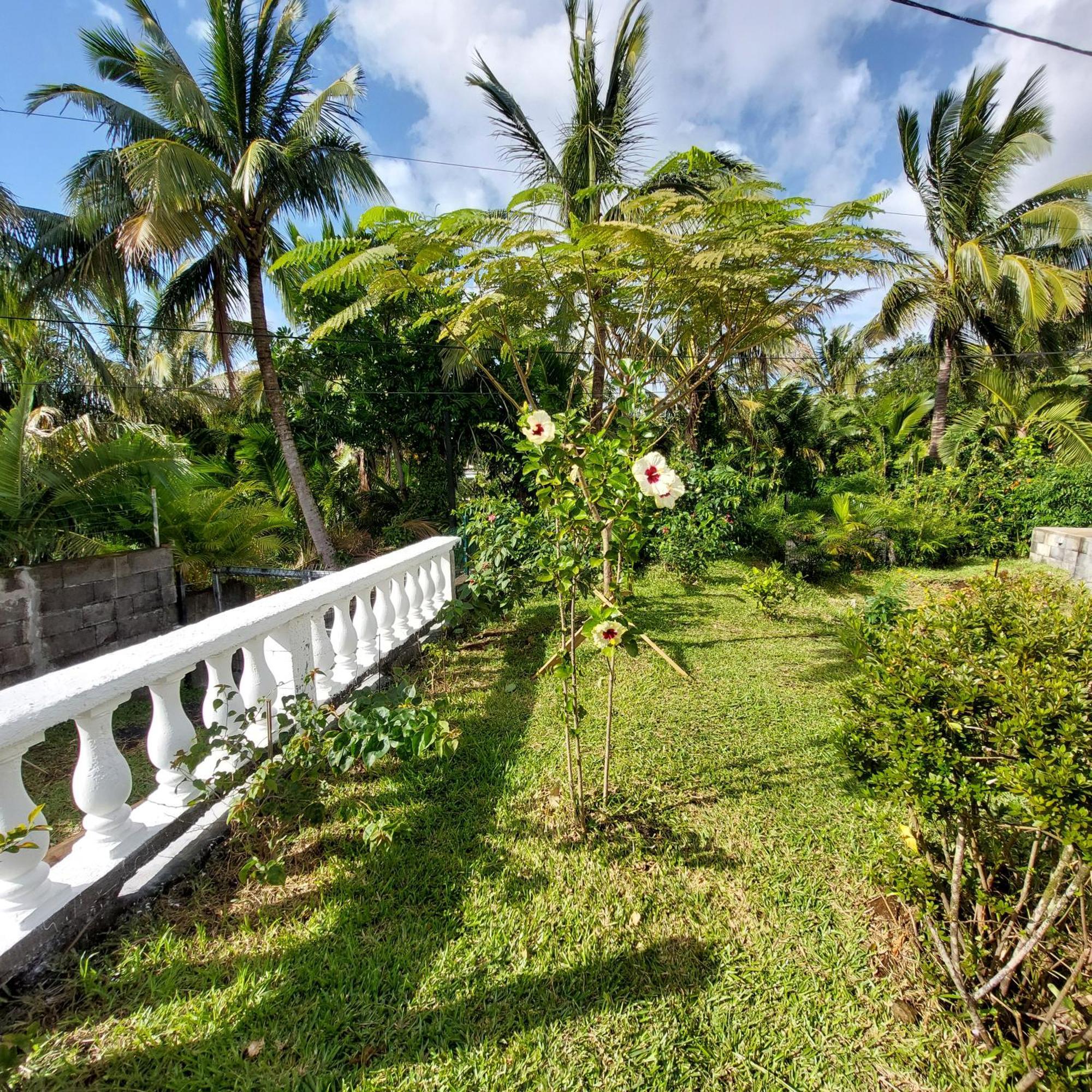 L Eden De L Est Villa Sainte-Rose Rom bilde